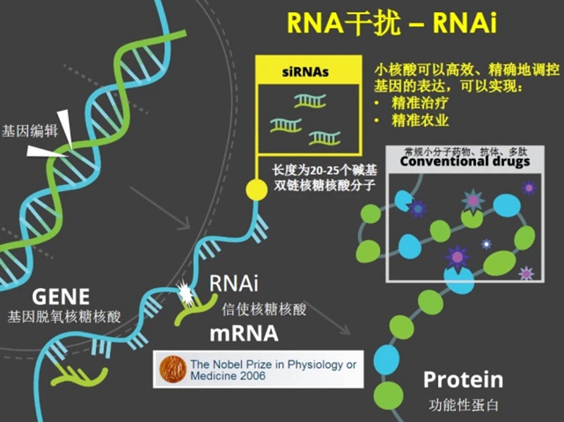 RNA生物農(nóng)藥商業(yè)化及發(fā)展趨勢(圖1)