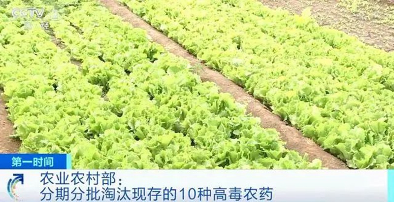 農業農村部：3年內淘汰這10種高毒農藥， 重點治理豇豆、韭菜、芹菜農殘超標(圖1)